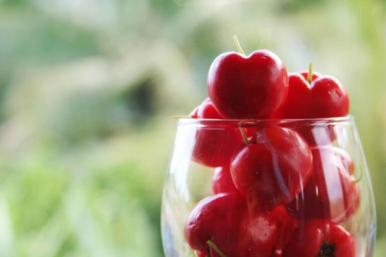 Benefits Of Acerola Cherry | The Magical Cherry