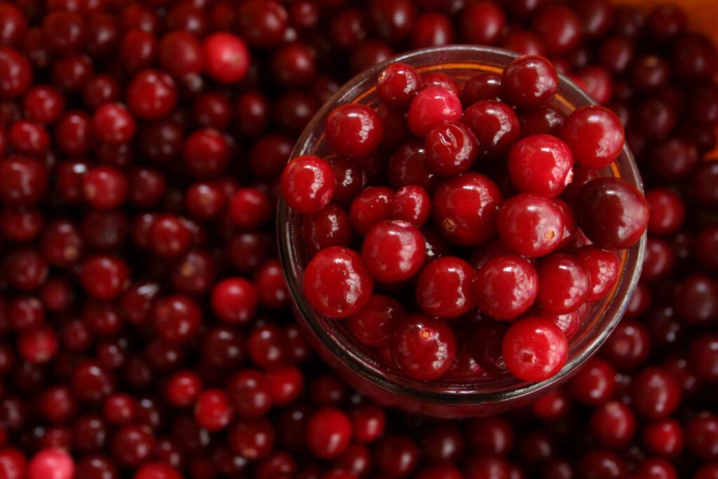Benefits Of Cranberry: The Healthy Fruit
