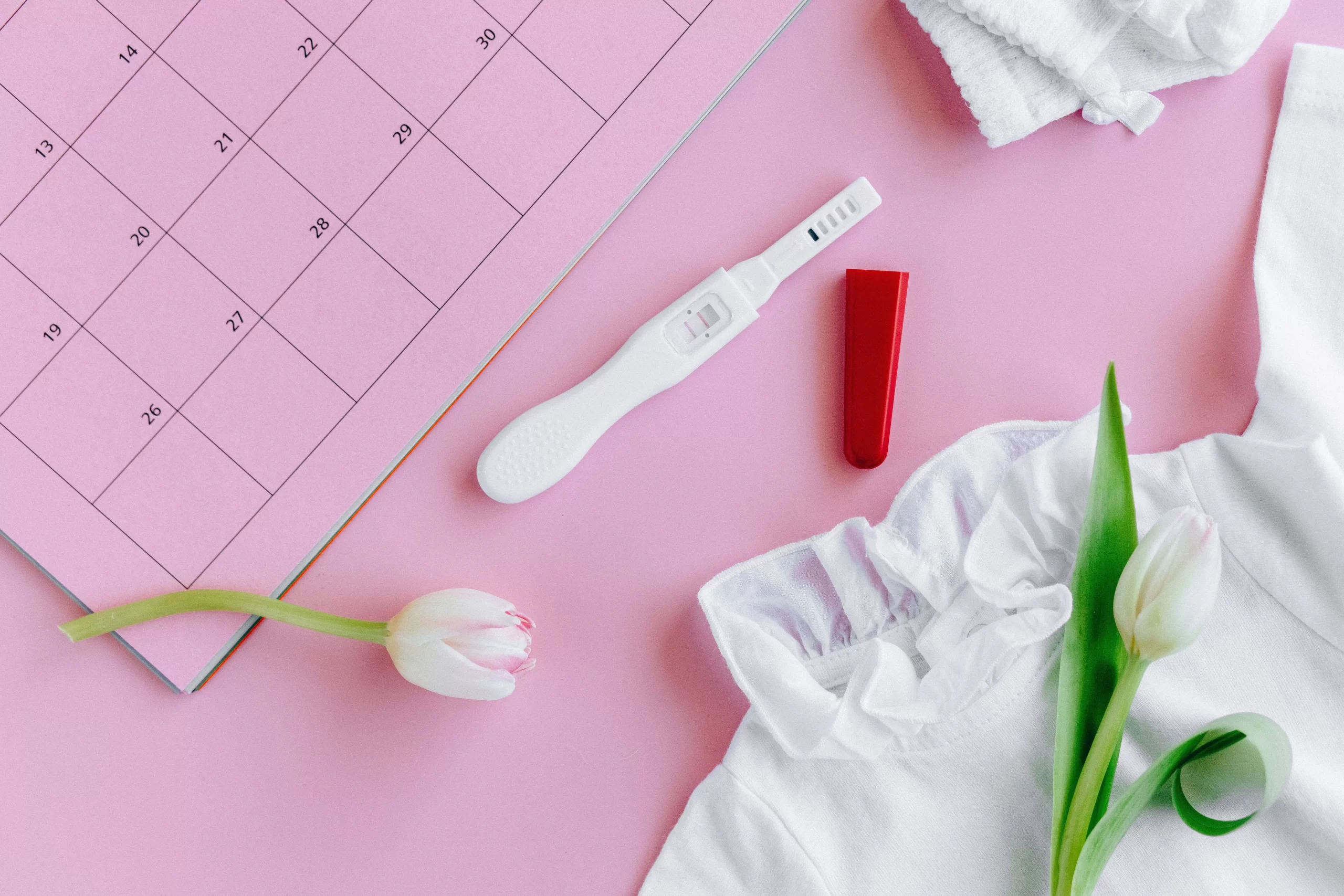 The ovulation test: the essentials to know