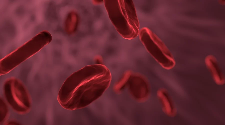 Red blood cells: everything you need to know about red blood cells